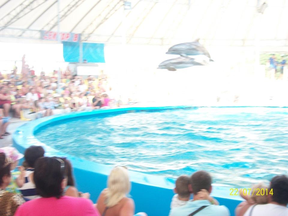 МОРЕ 2014, Скадовський дельфінарій! 2