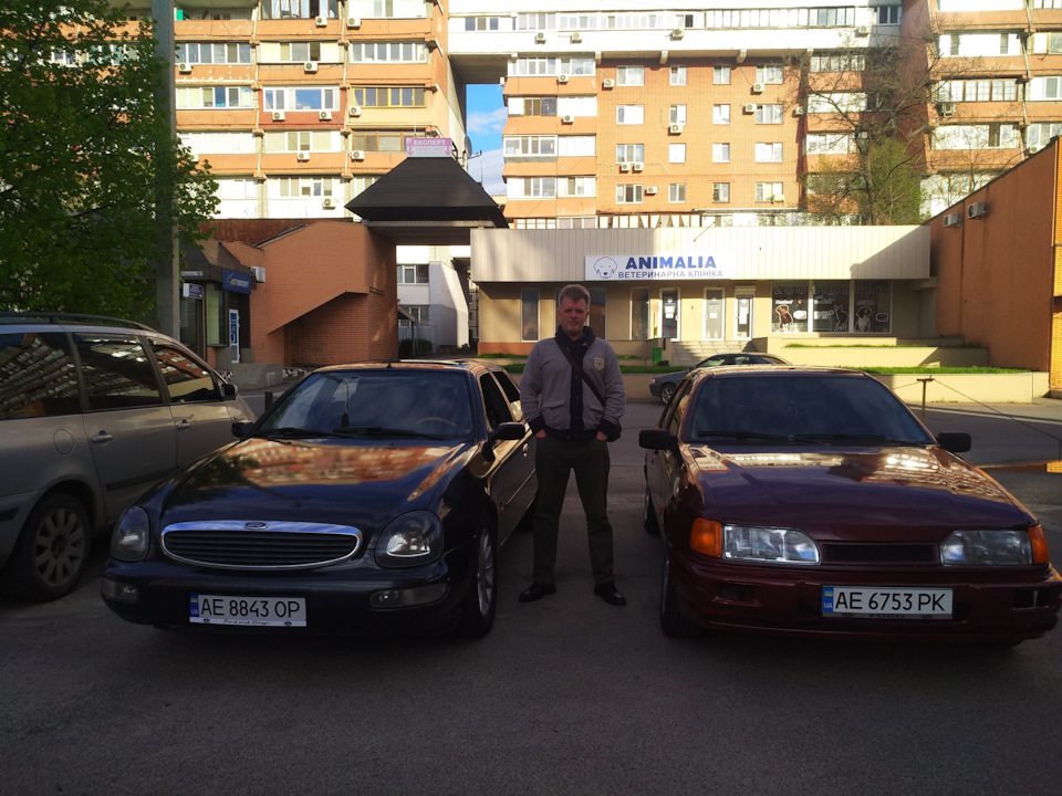 Що мені з тобою робити, косик? 3