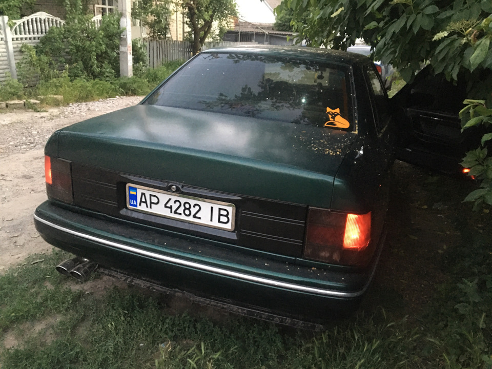 Америка стайл 4