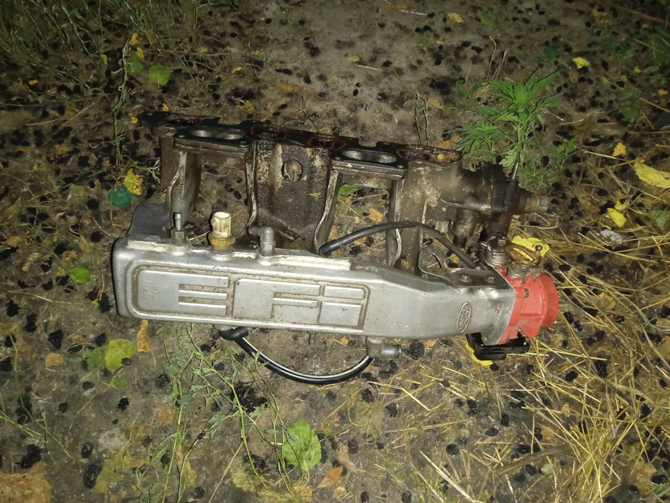 Полез в дебри) 3
