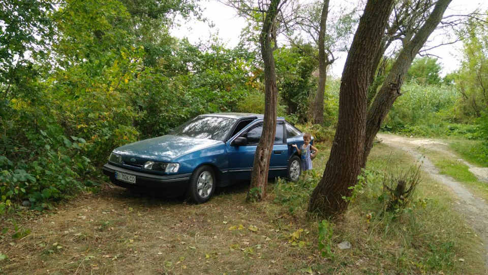 Прогулялися до води. 2