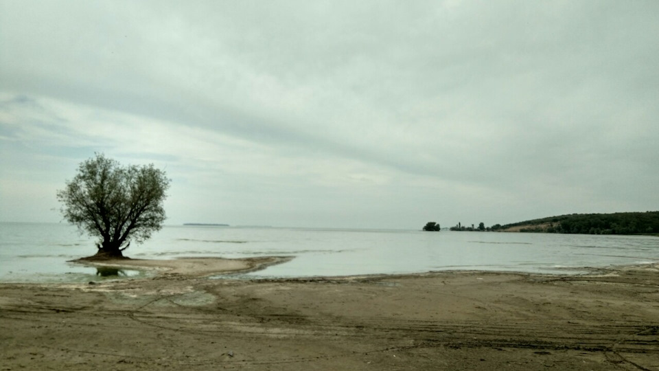 Прогулялися до води. 1