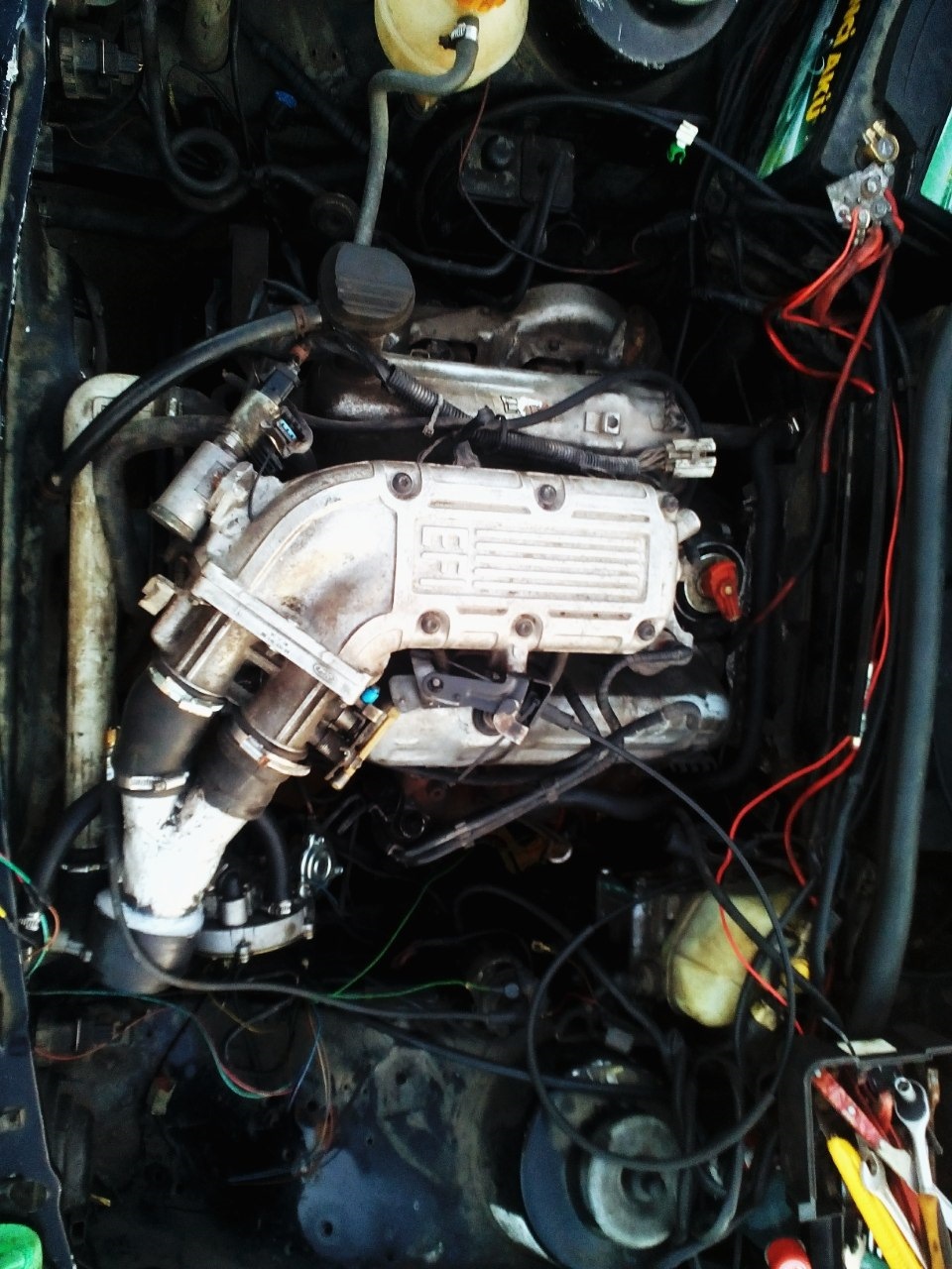 нове серце - 2.9efi cologne) 4