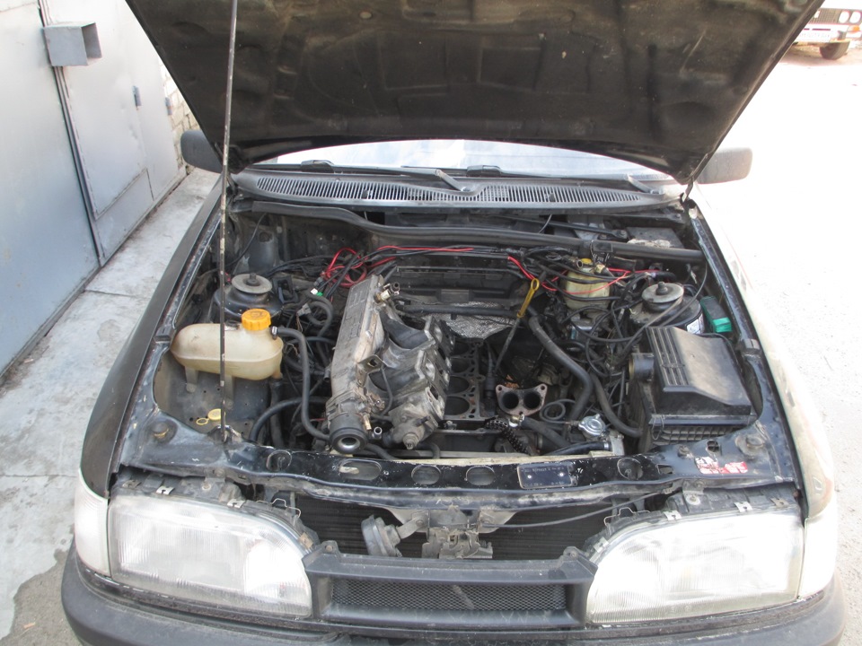 нове серце - 2.9efi cologne) 1