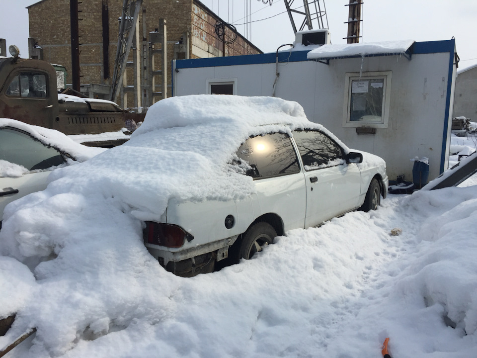 Покупка Ford Sierra за 200 доларів! 5