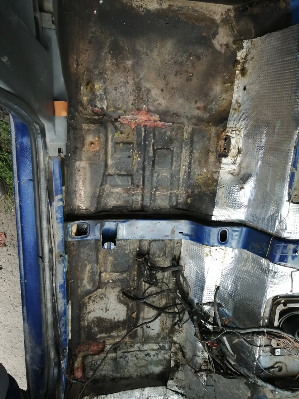 Шо під килимком дуже цікаво