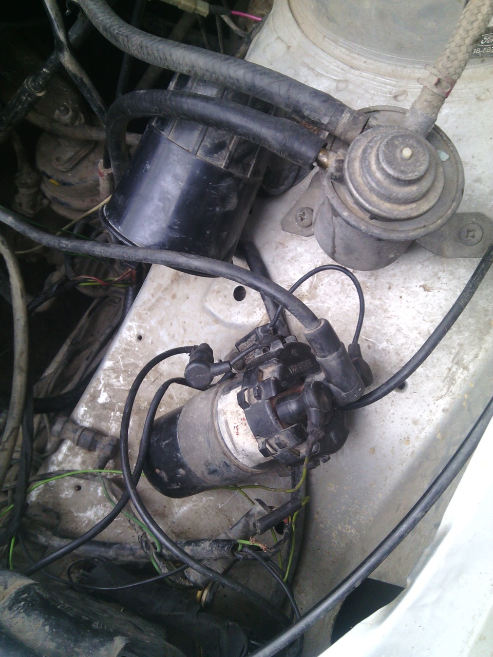 Завелася 3