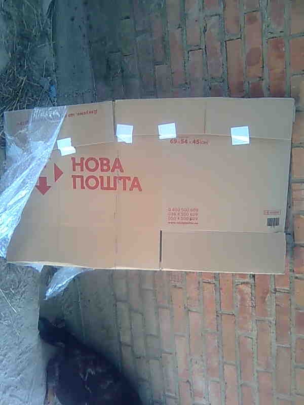 Приїхала задня полиця! 1