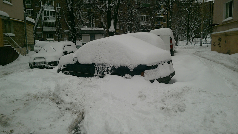 Трохи засипало снігом :) 1