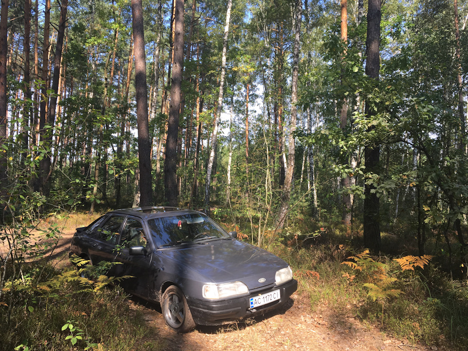 З'їздив на природу. 3