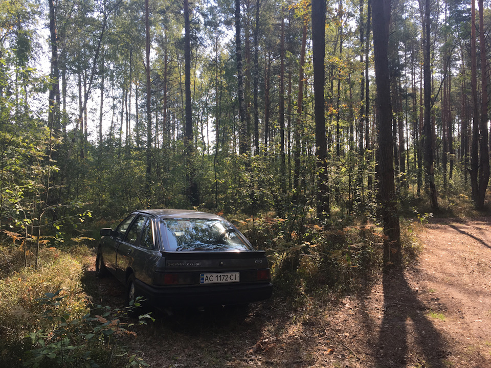 З'їздив на природу. 1