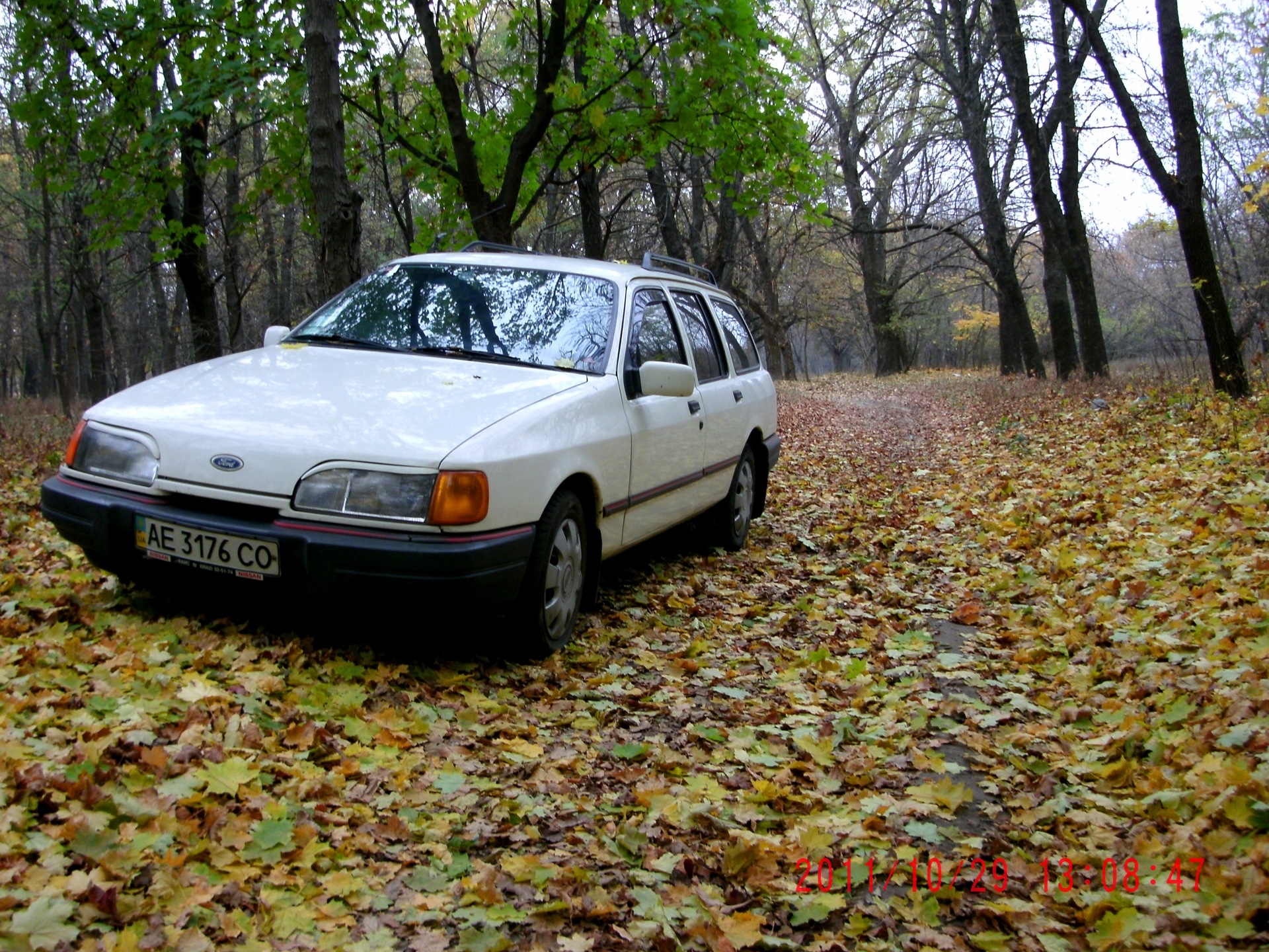 трохи фото в осінньому лісі. 2