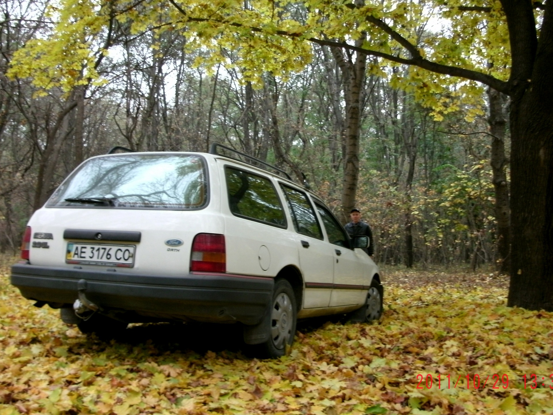 трохи фото в осінньому лісі. 3