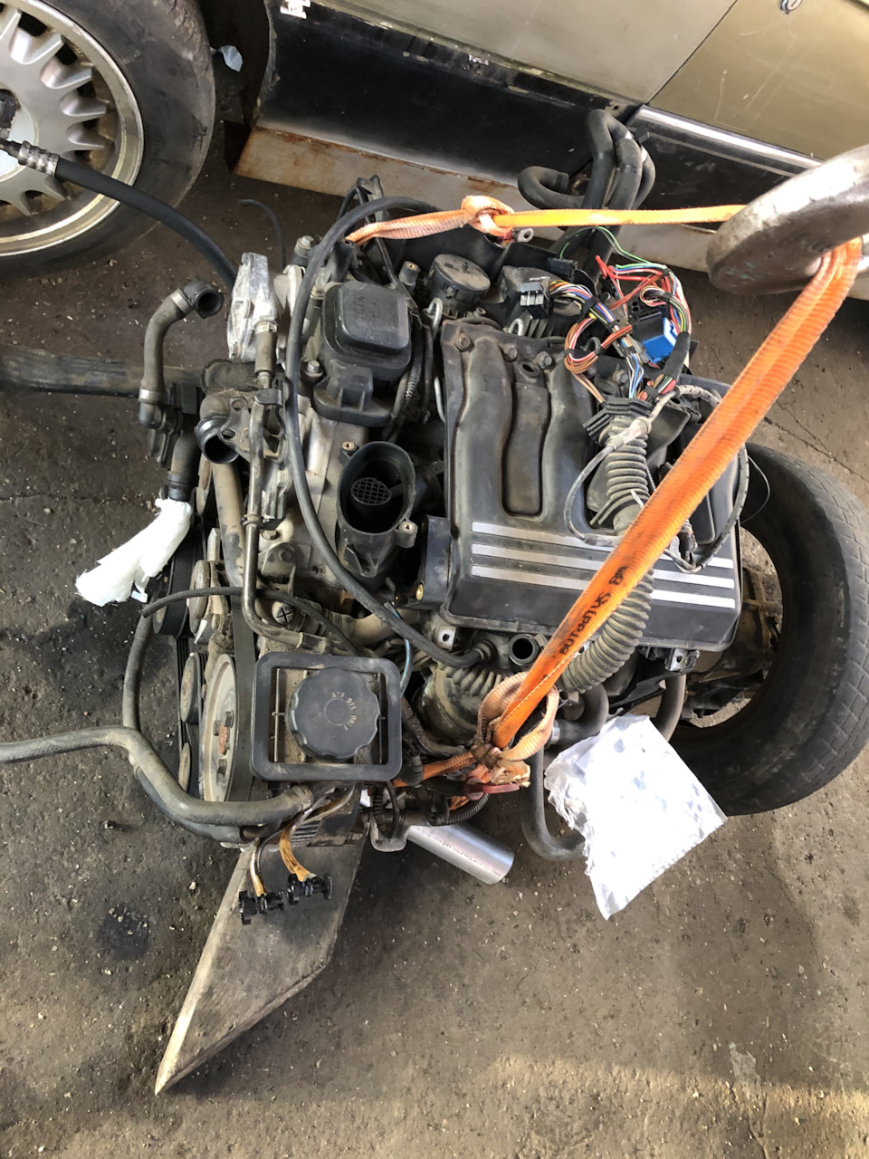 Нове серце від BMW E46, М47В19. 1