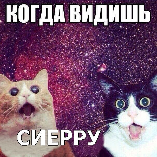 Вечірні покотушки) 2