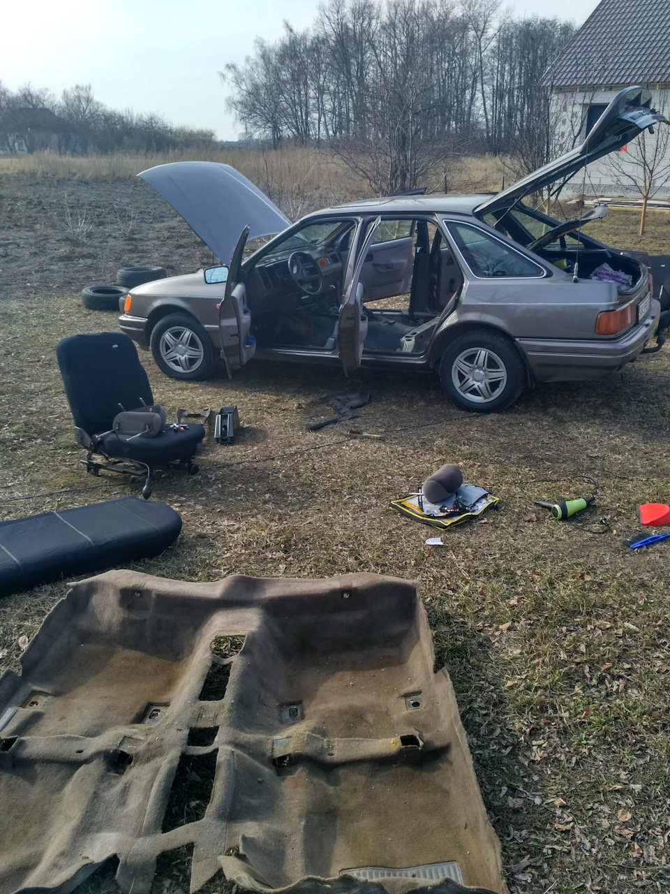 Несподівані принади 5