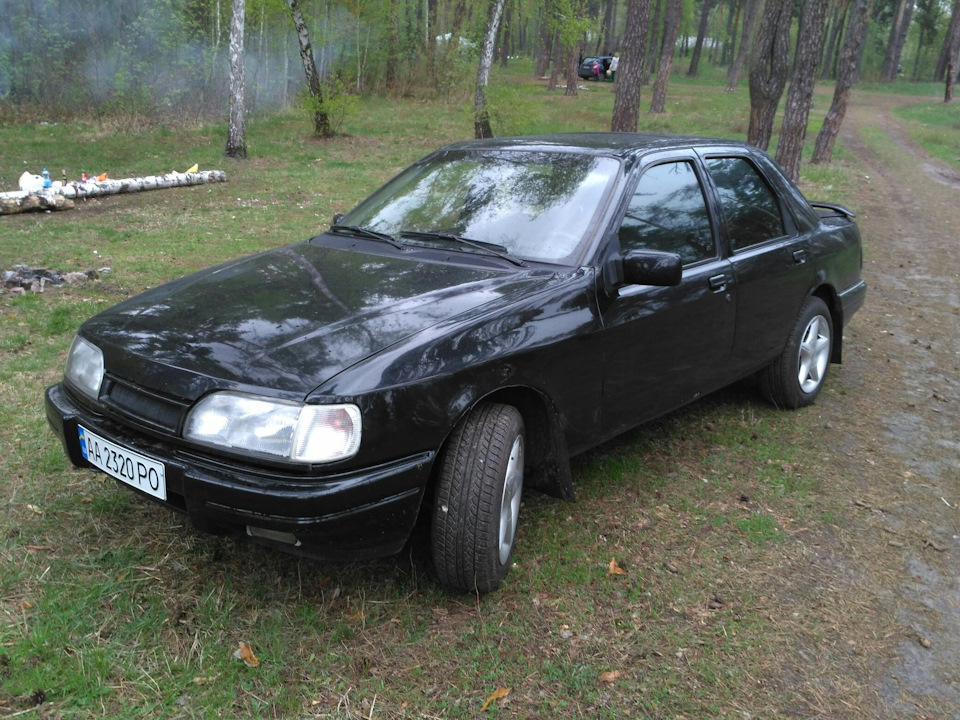 Ластівка в лісі) 1