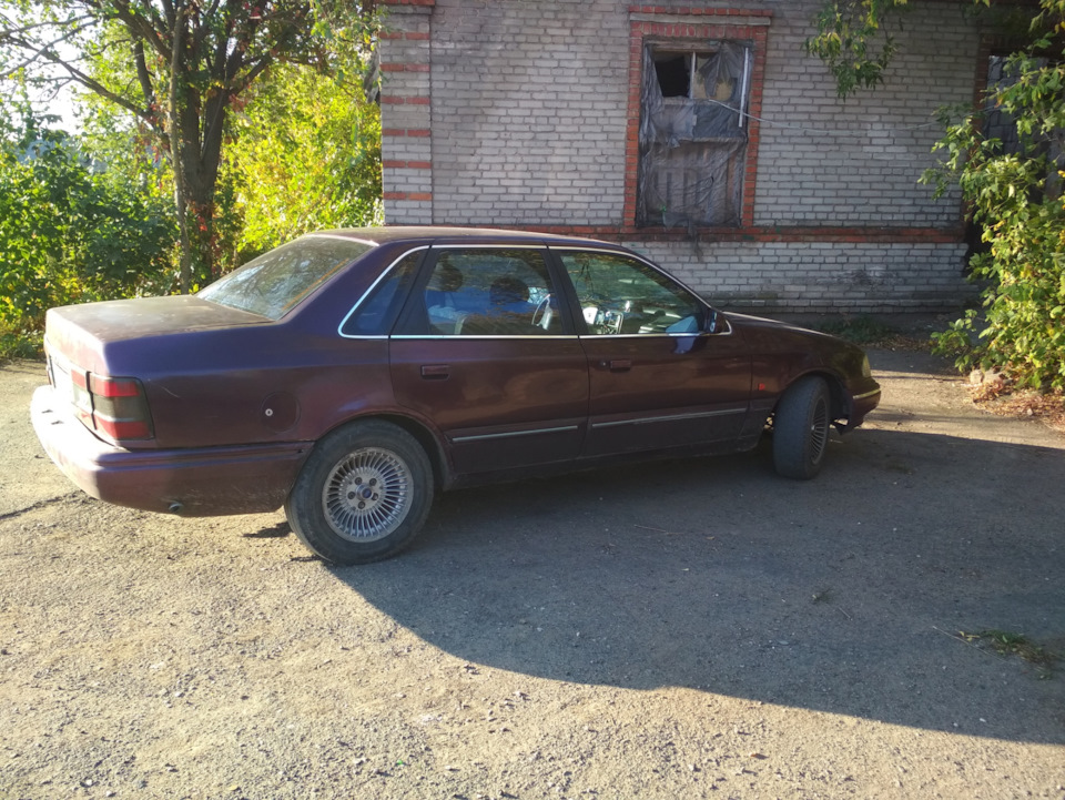 Всім привіт! 1