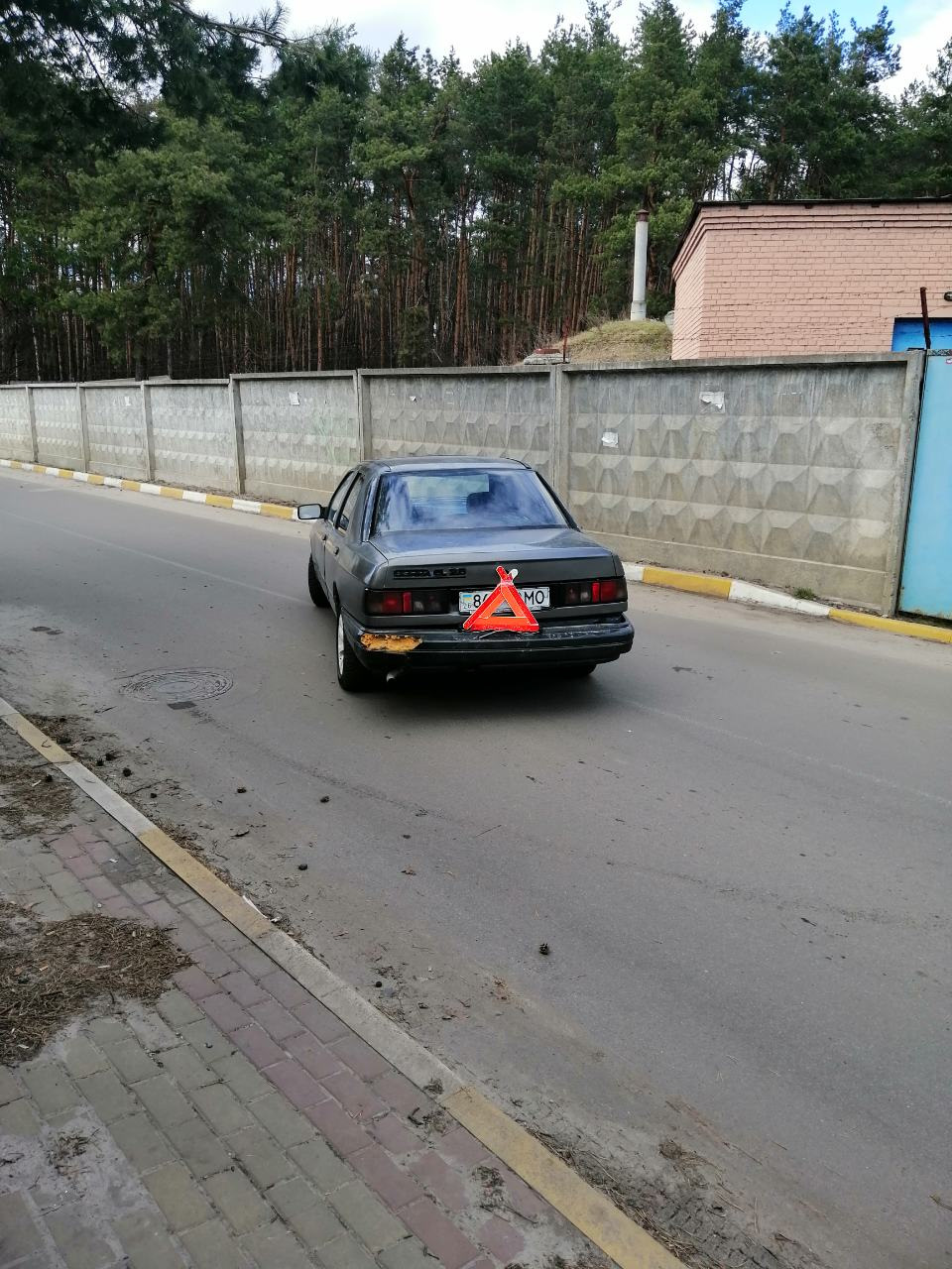 Забрав дамою 1
