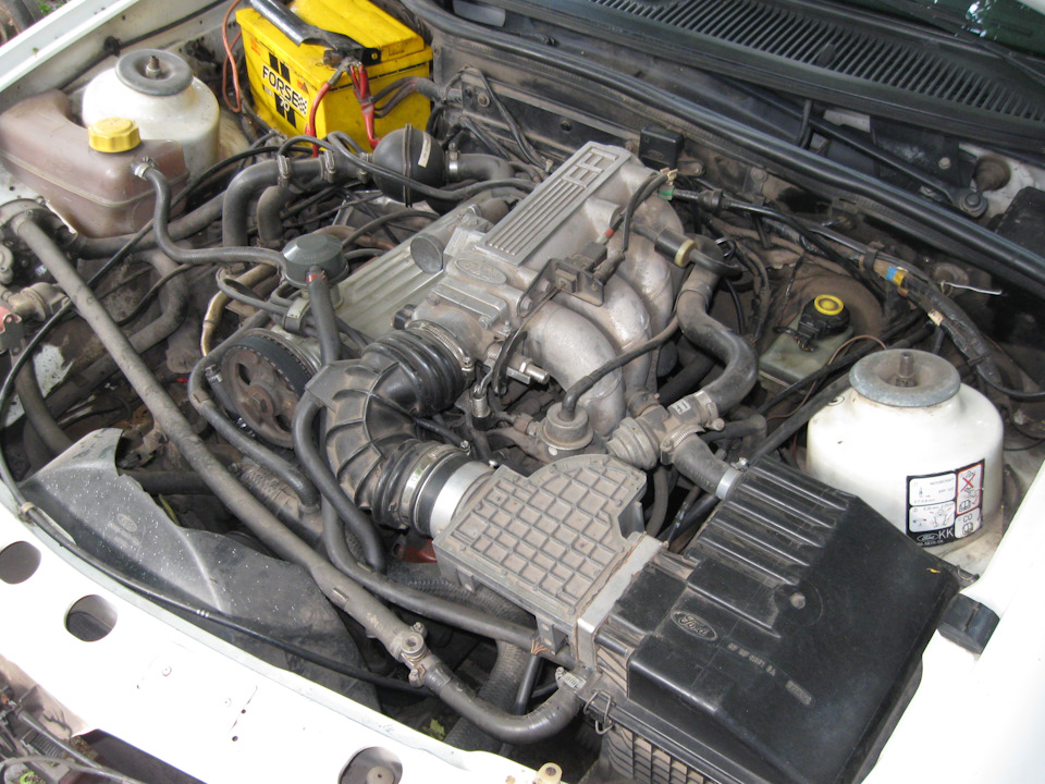 7. Як дізнатися який двигун стоїть на FORD Sierra 1