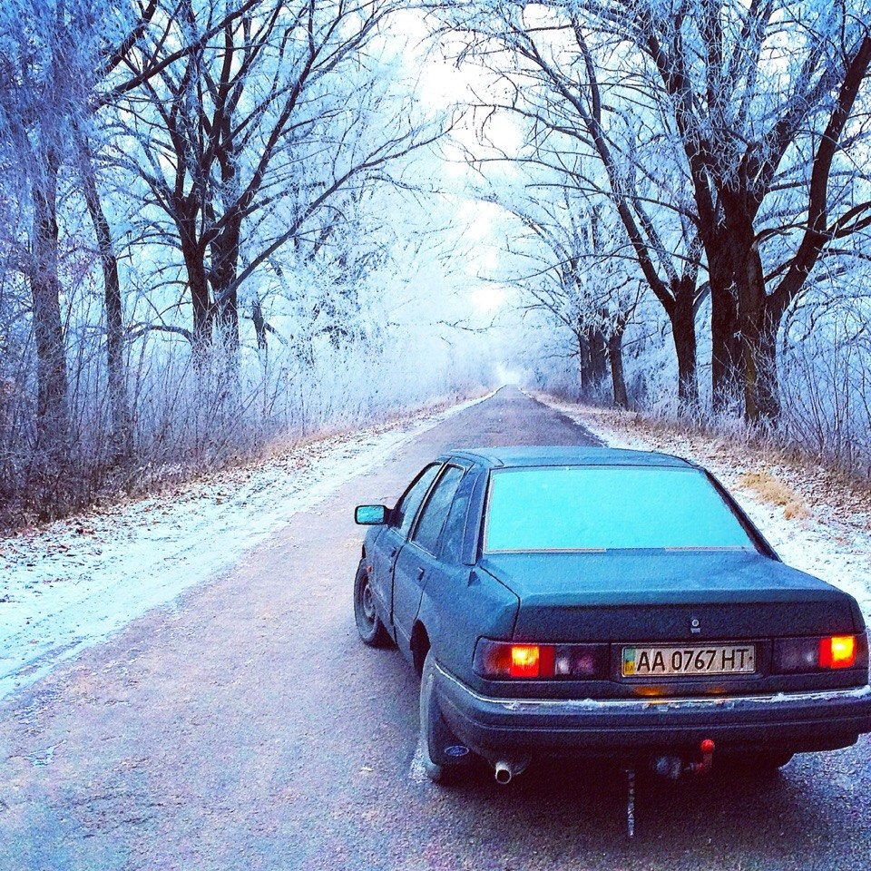 День ЗИМА 2