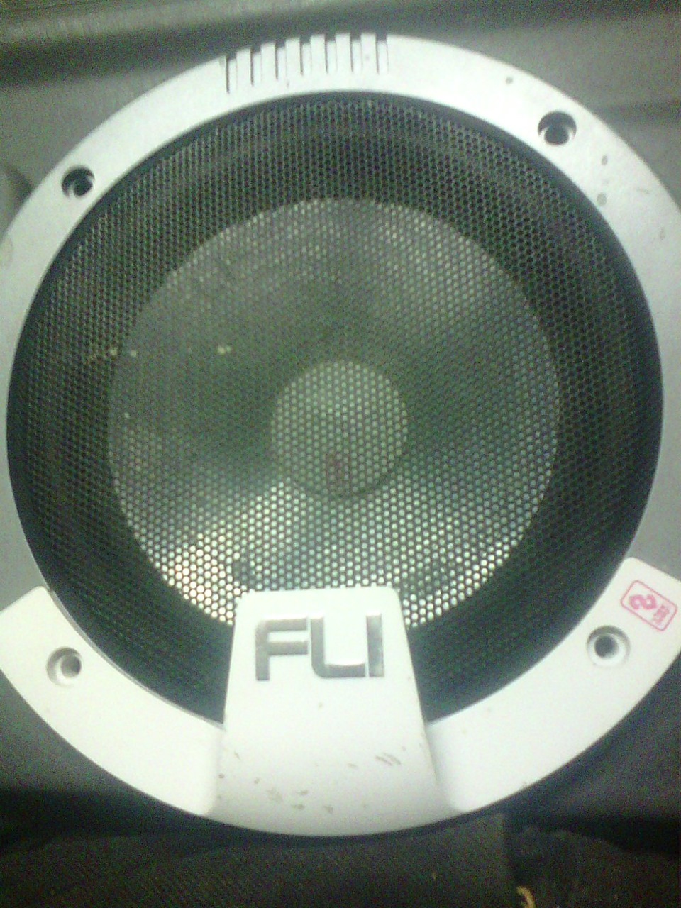 FLI)) 3