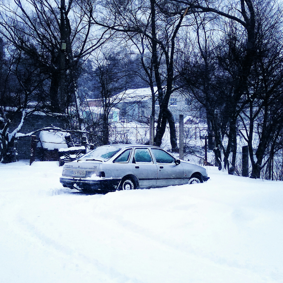 Весна... День другий! 1