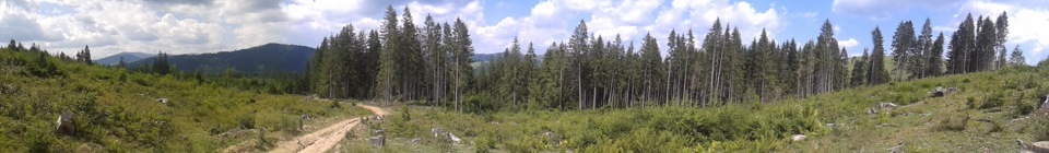 Карпати 2013 4