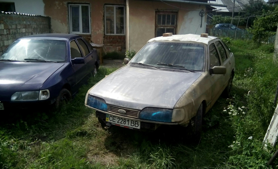 Літо 2017 1