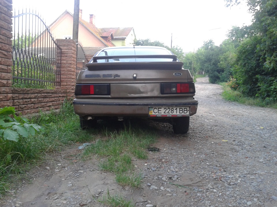 Кілька останніх фото… 5