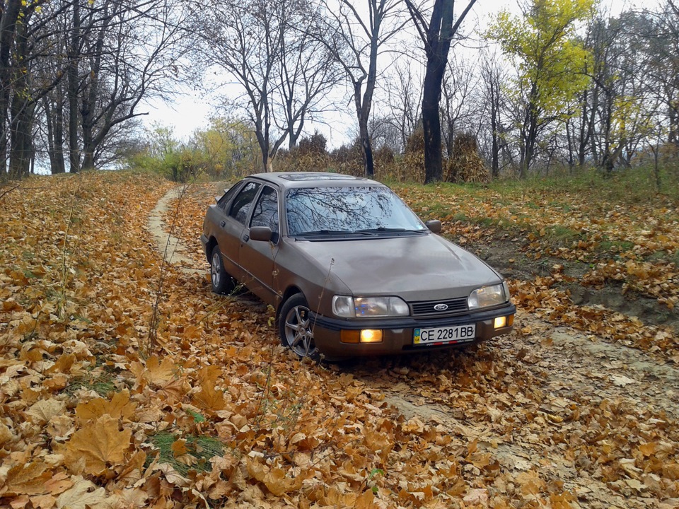 Осінній фотосет 1