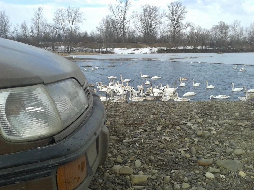 с. Чорторія, Вижницький район, Чернівецька область