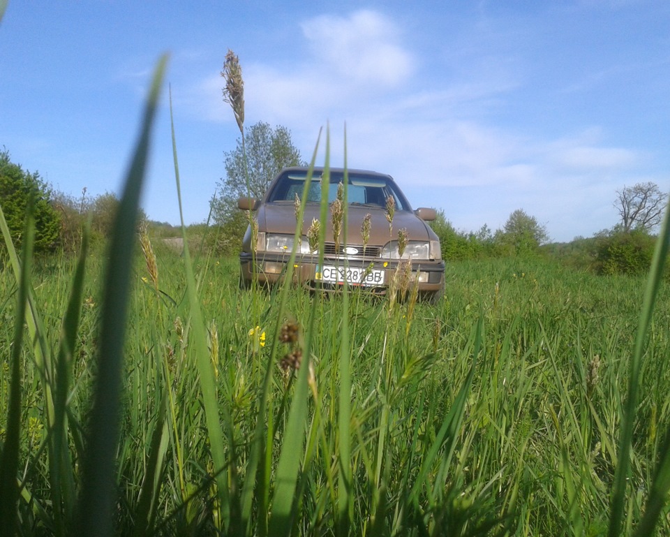 Шашлики) 1