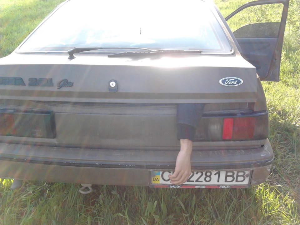 Шашлики) 3