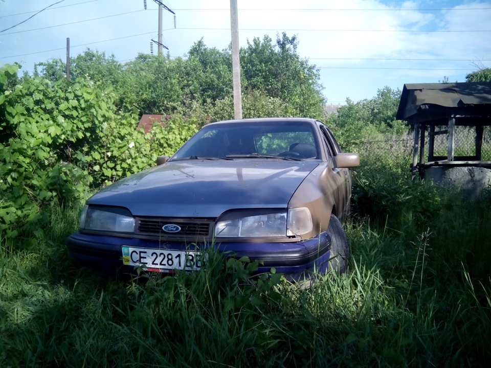 Синьоок 2