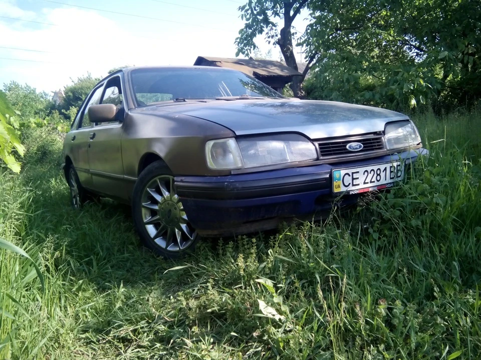 Синьоок