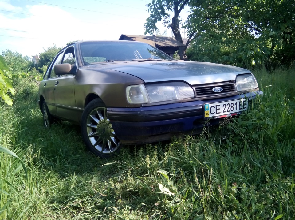 Синьоок 1