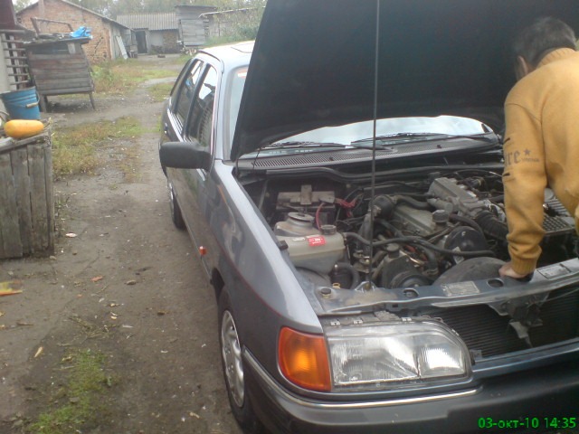 Купив донора на свою сієрку 1