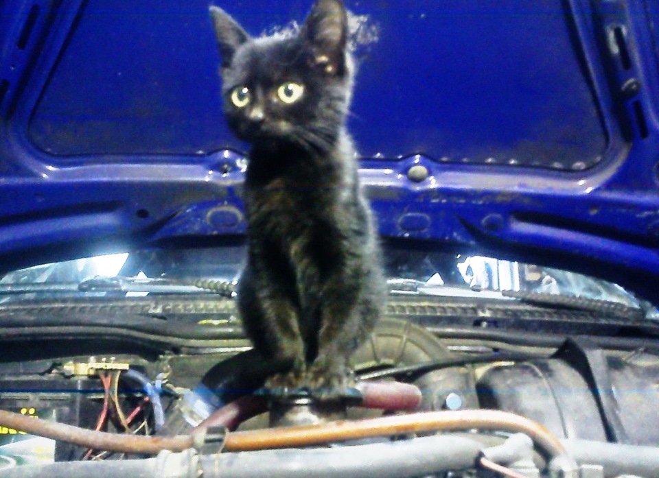 Мій автослюсар 2