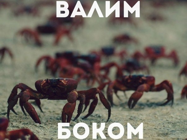 нема чого робити) 1