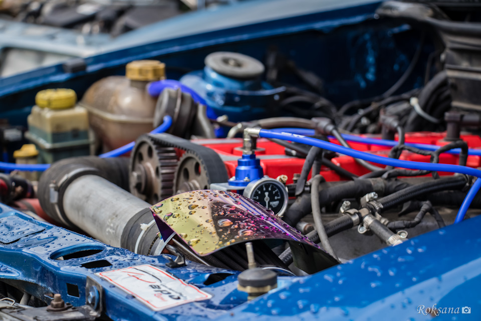 Oldcarland 2019 2