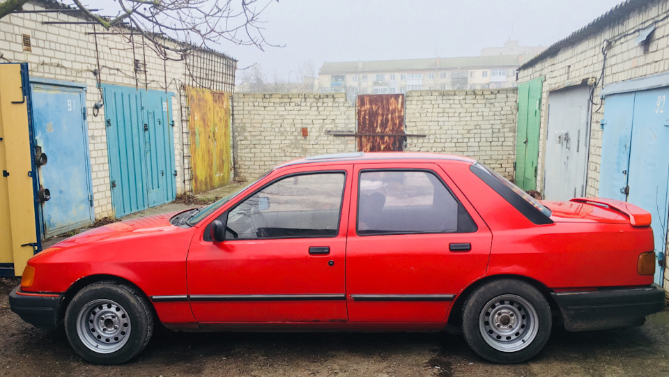 Натер писю 1