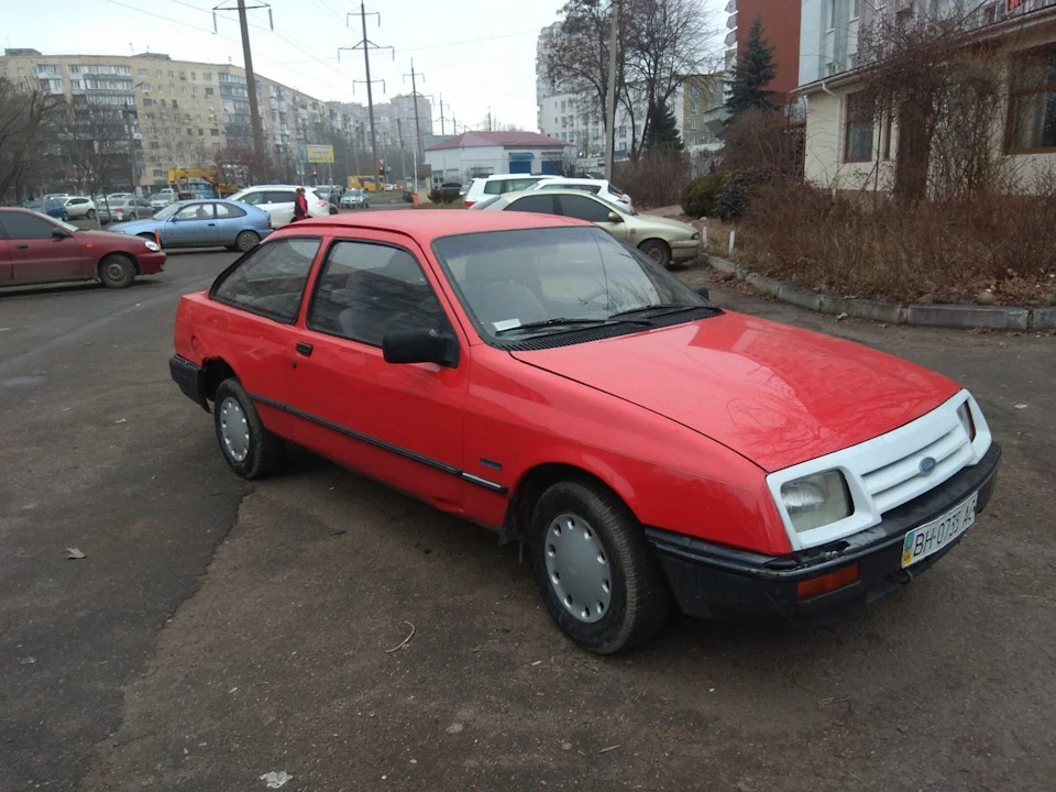 Моя красуня
