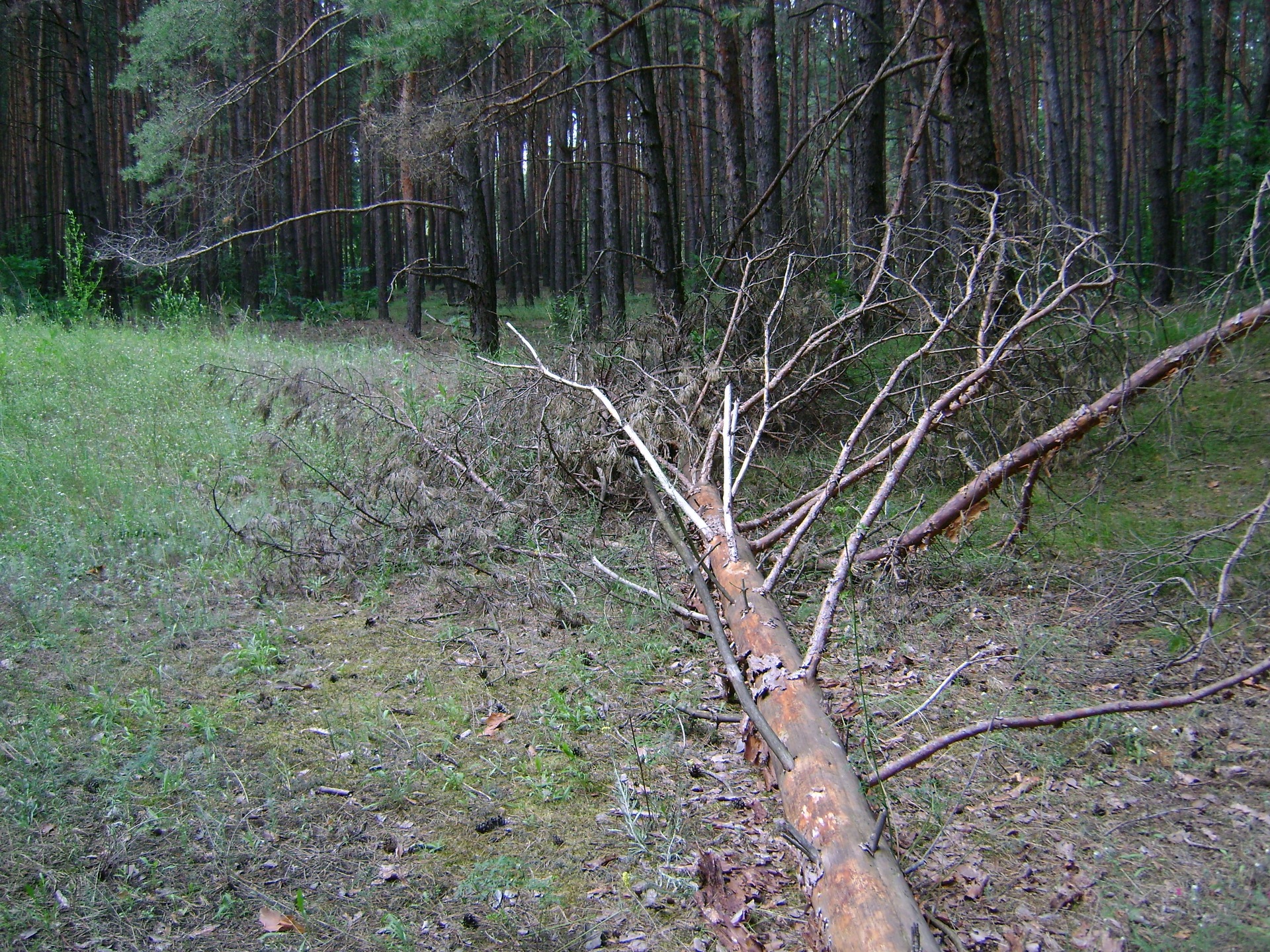 Запис, 12 липня 2011 5