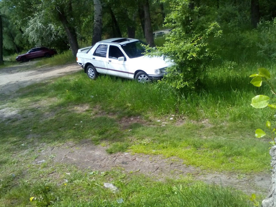 Поездка на природу 2