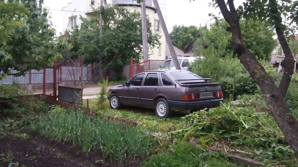 Просто фото 5