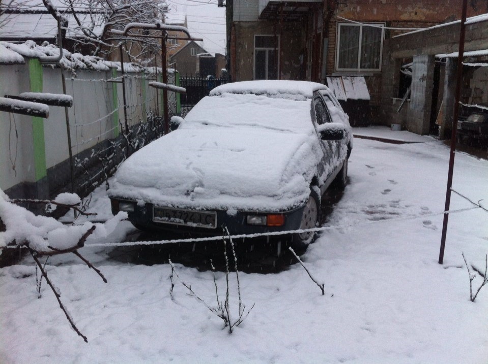 Сніжок 1