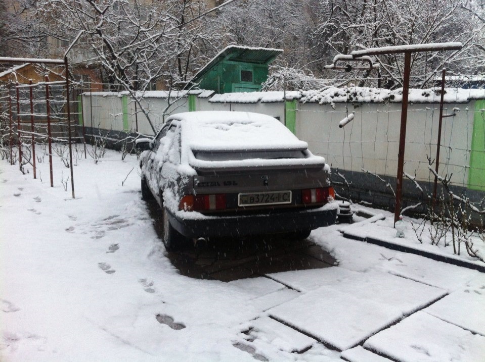 Сніжок 3