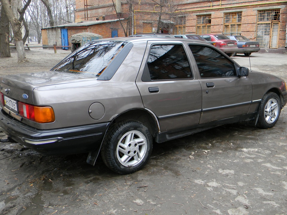 Вперше викупалися після зими! 1