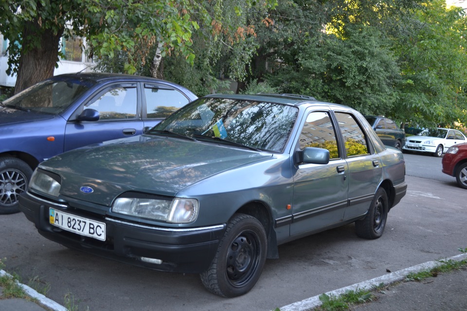 Продана моя сієррка… 2